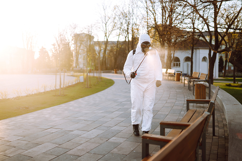 Pest control SEO from Neur Digital