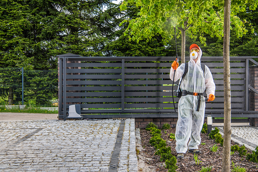 SEO for pest control companies tips